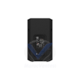 HAUT-PARLEUR AMPLIFIEE DHR15