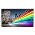 Téléviseur Professionnel 55" (139 cm) LED 4K Ultra HD 55BFL2214/12