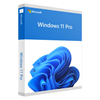 Windows 11 Professionnel 64Bit Anglais Intl 1pk DSP OEI DVD