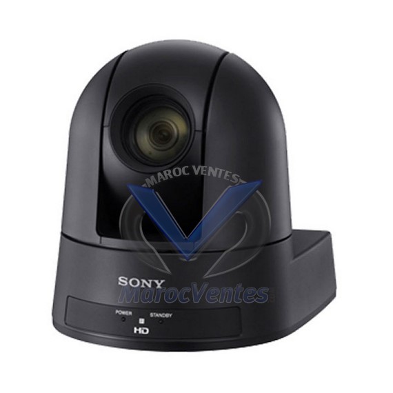 Caméra de bureau et de plafond à distance PTZ Noir 1080p sans fil SRG-300H