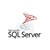SQL Server 2022 Standard Edition Perpetual 1 Server License DG7GMGF0M80J:0002