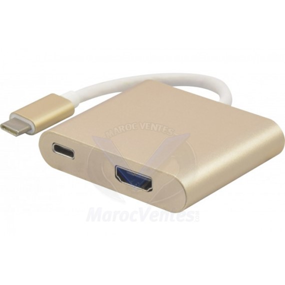 Convertisseur USB 3.1 Type-C vers HDMI 2.0 + PowerDelivery 127562