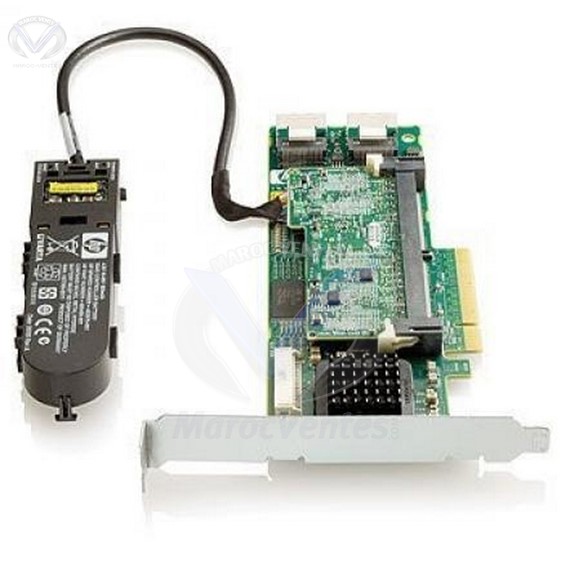 Contrôleur de stockage (RAID) - SATA-300 / SAS 2.0 - PCI Express 2.0 x8 462864-B21