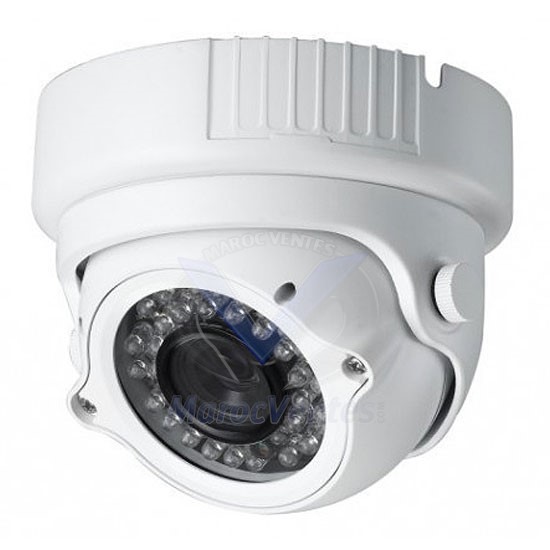 Caméra Mini Dôme Anti-Vandal 700TVL DM-8906G