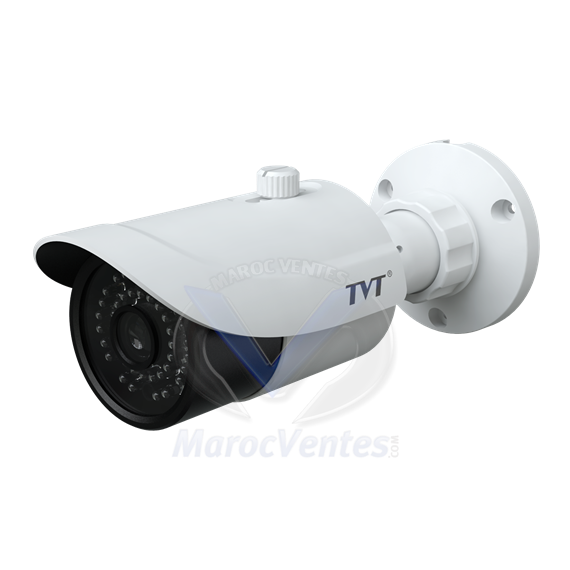 Camera analogique HD 5MP IR Bullet TD-7452AE
