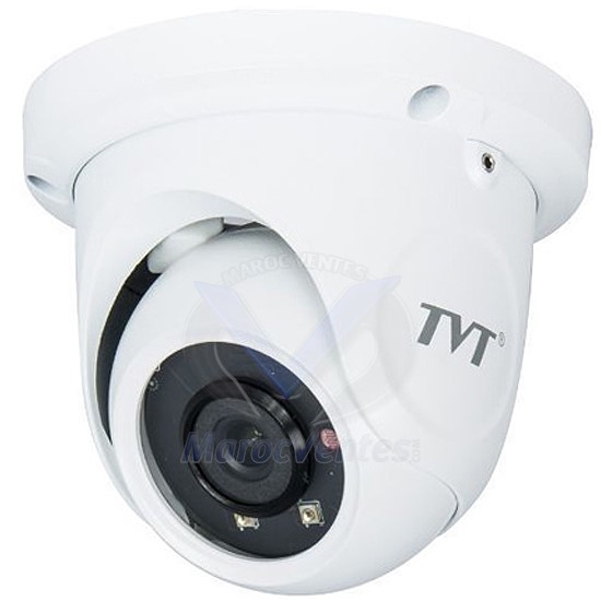 Caméra IP Dôme 2MP 3.6mm PoE IR 20m TD-9524S1